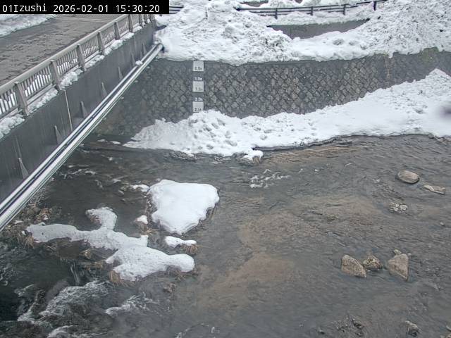 最新監視カメラ画像