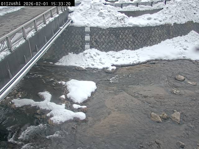 最新監視カメラ画像