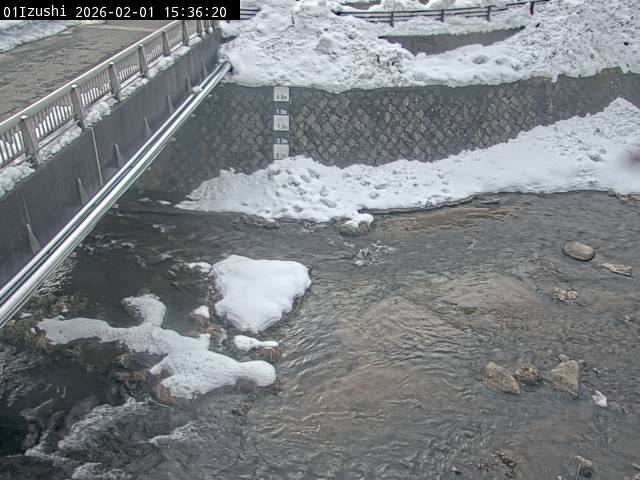 最新監視カメラ画像