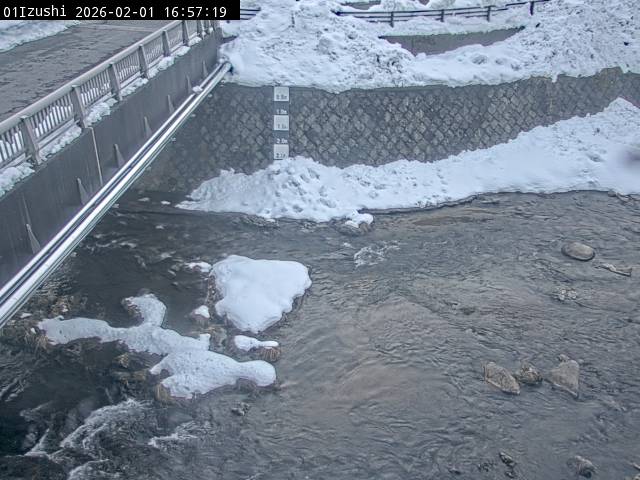 最新監視カメラ画像