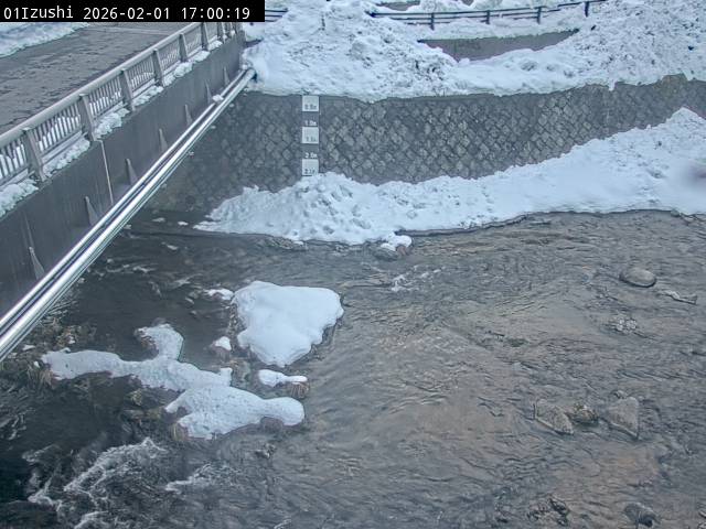 最新監視カメラ画像