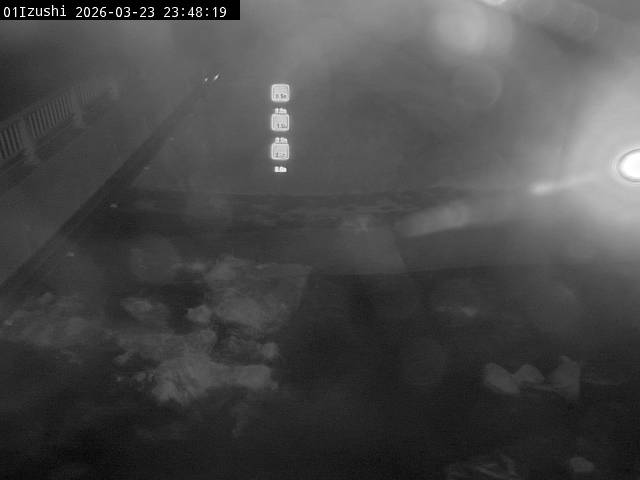 最新監視カメラ画像