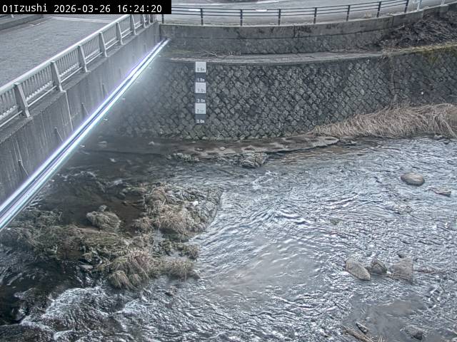 最新監視カメラ画像