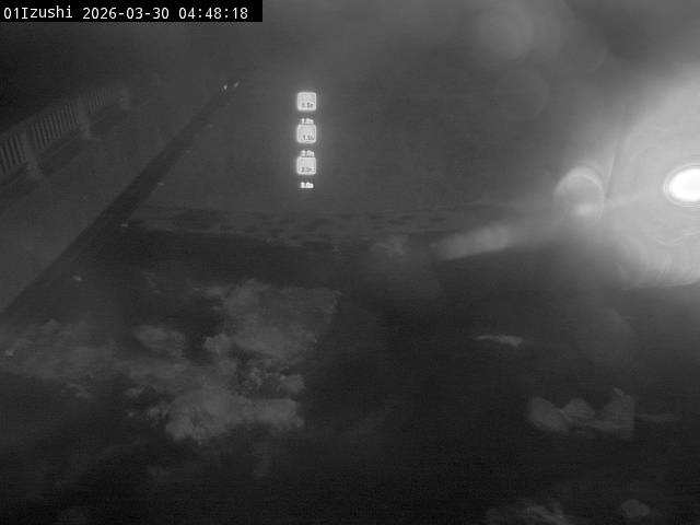 最新監視カメラ画像