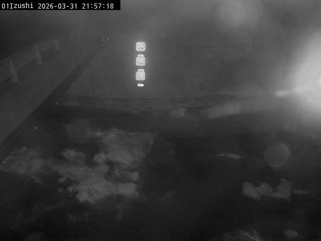 最新監視カメラ画像