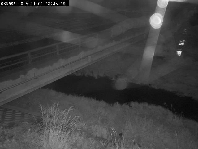 最新監視カメラ画像