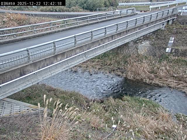 最新監視カメラ画像