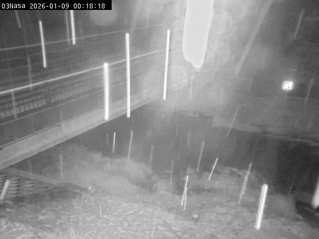 最新監視カメラ画像