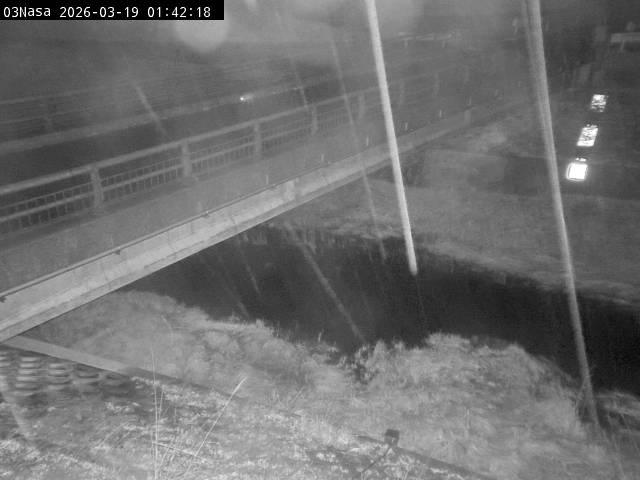 最新監視カメラ画像