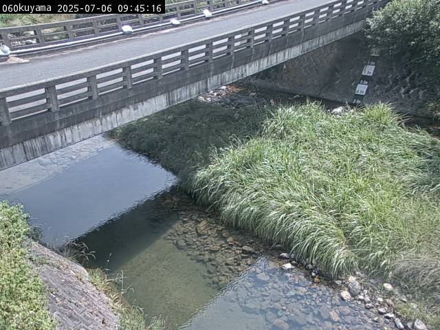最新監視カメラ画像