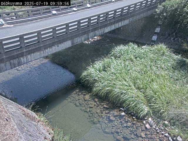 最新監視カメラ画像