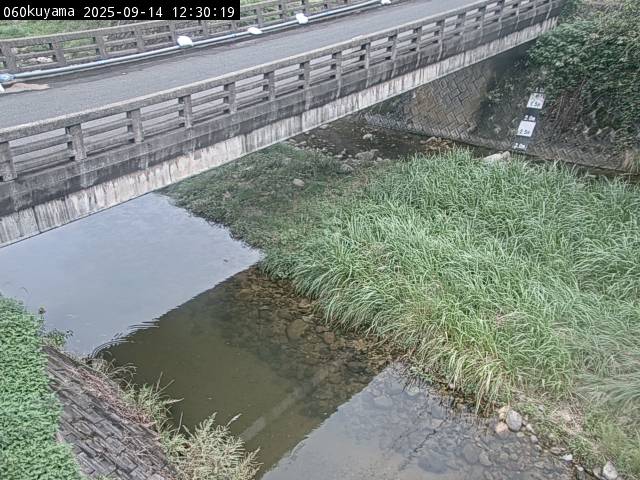 最新監視カメラ画像