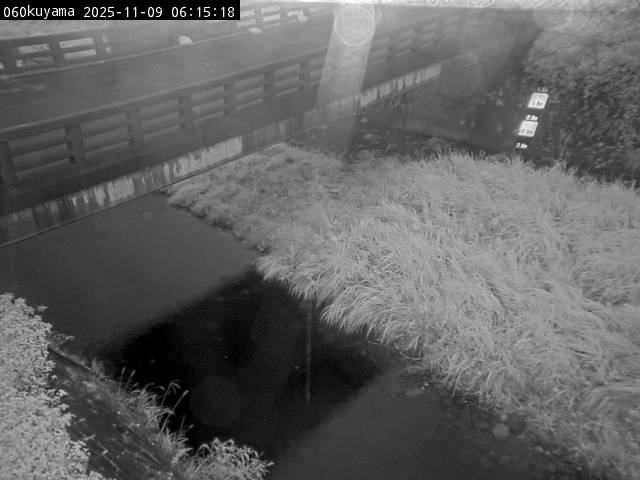 最新監視カメラ画像