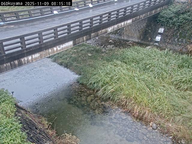 最新監視カメラ画像