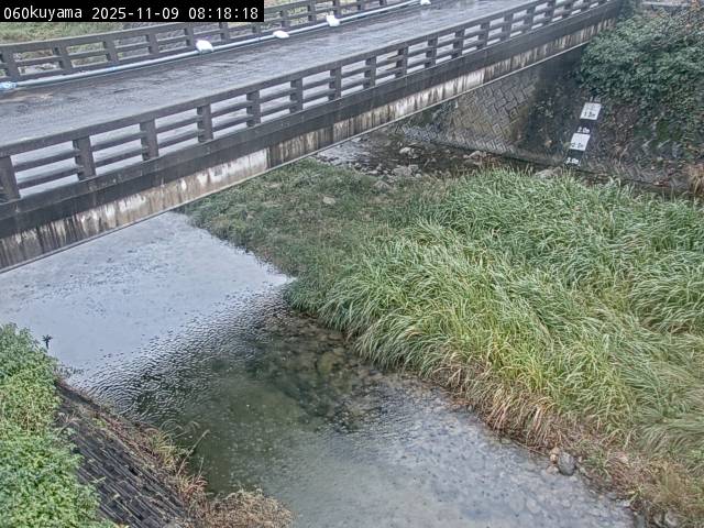 最新監視カメラ画像