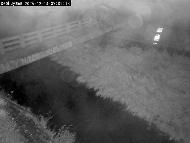 最新監視カメラ画像