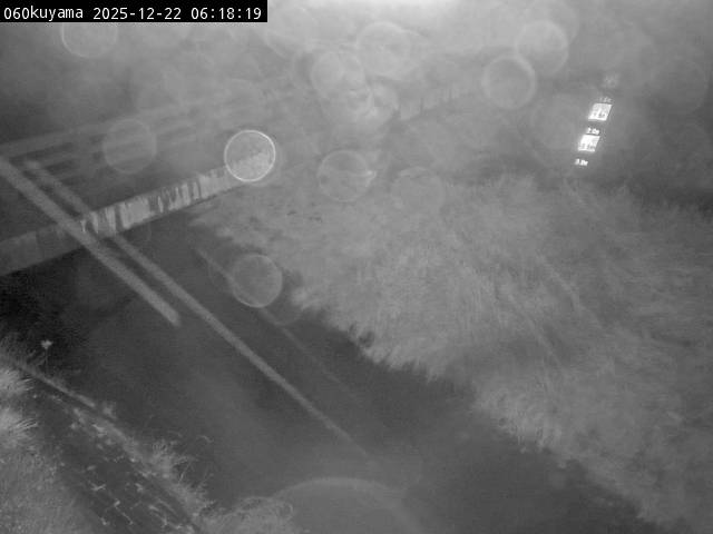 最新監視カメラ画像