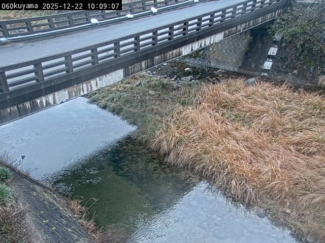 最新監視カメラ画像