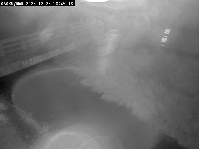 最新監視カメラ画像