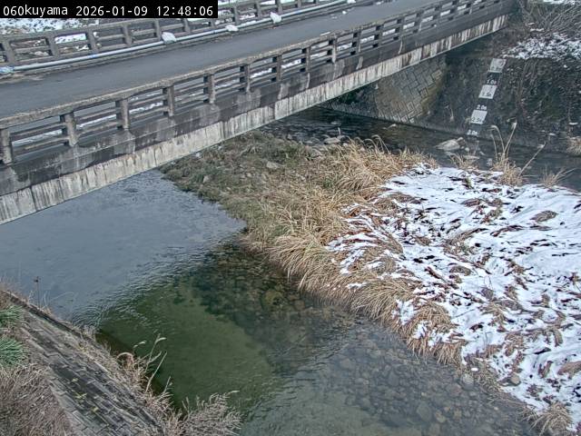 最新監視カメラ画像