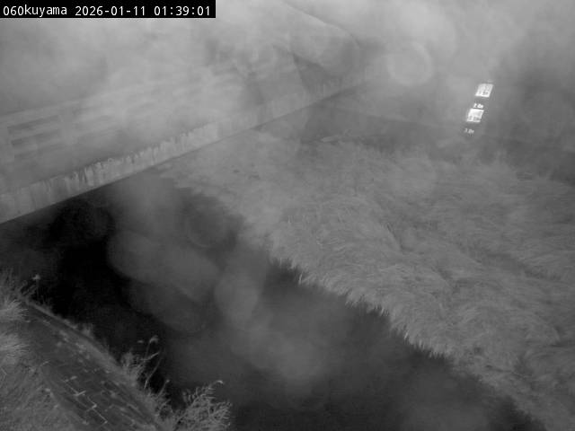 最新監視カメラ画像