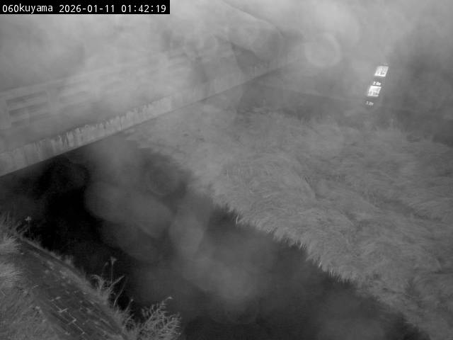 最新監視カメラ画像