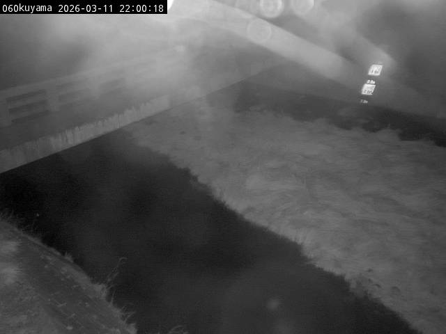 最新監視カメラ画像