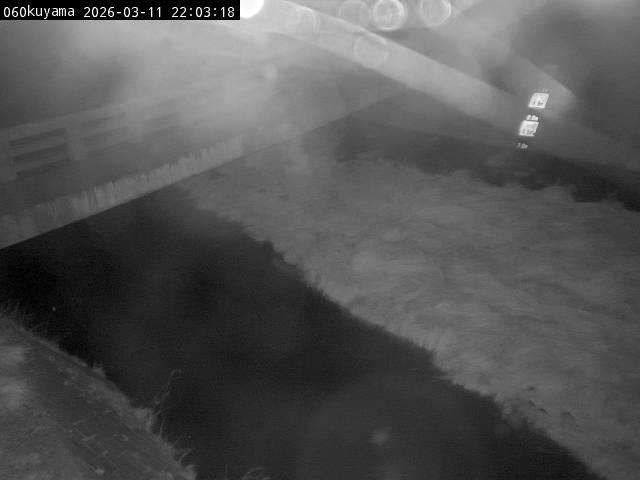 最新監視カメラ画像