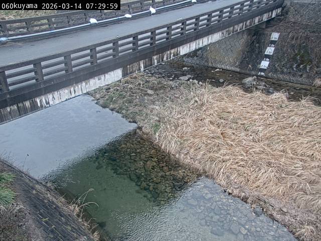 最新監視カメラ画像