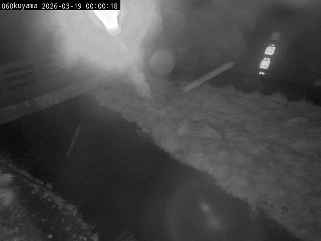 最新監視カメラ画像