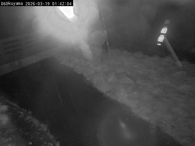 最新監視カメラ画像