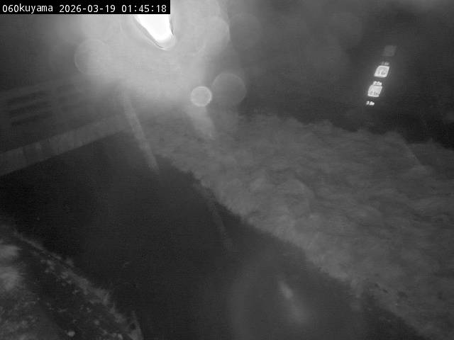 最新監視カメラ画像