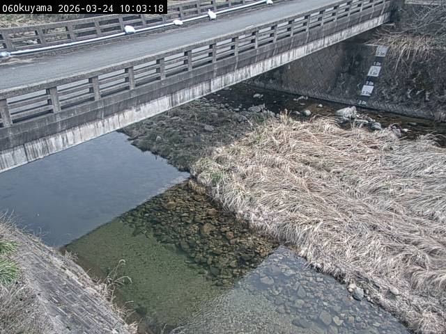 最新監視カメラ画像