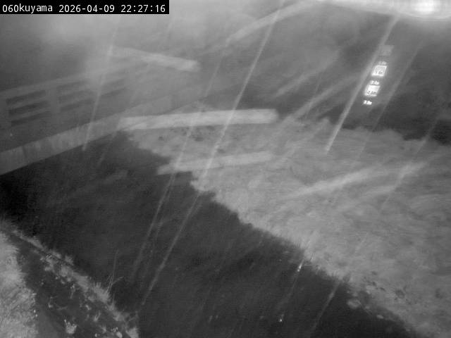 最新監視カメラ画像