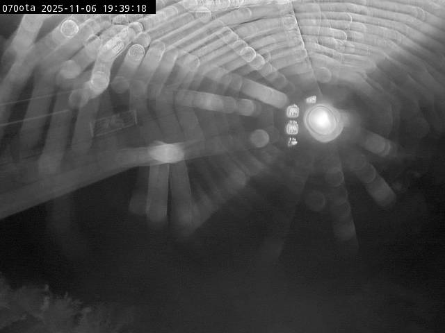 最新監視カメラ画像