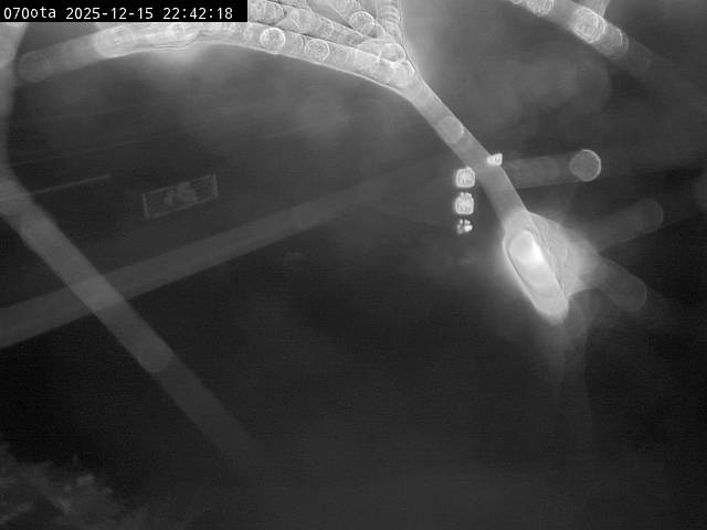 最新監視カメラ画像