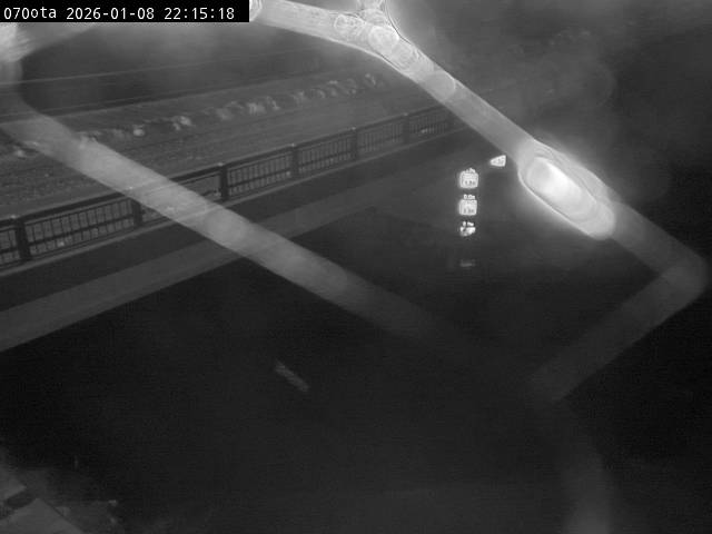 最新監視カメラ画像