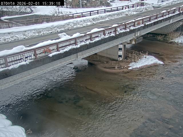 最新監視カメラ画像