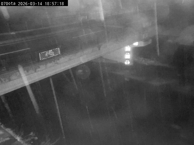 最新監視カメラ画像