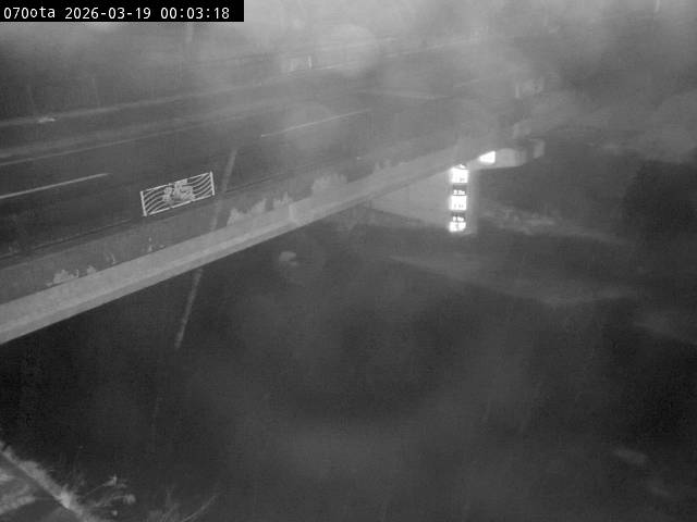 最新監視カメラ画像