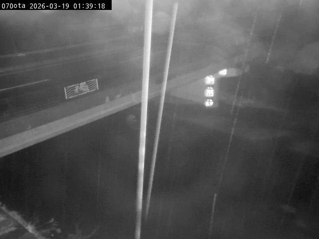 最新監視カメラ画像