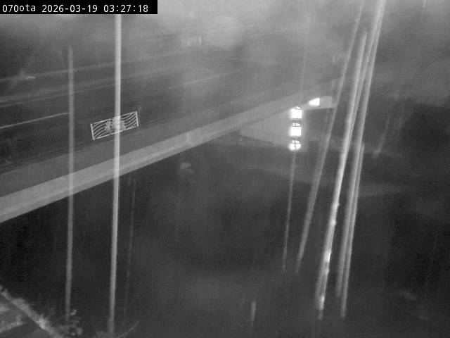 最新監視カメラ画像