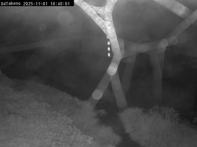 最新監視カメラ画像