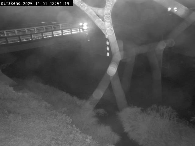 最新監視カメラ画像