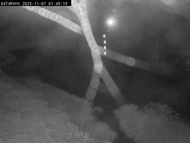 最新監視カメラ画像