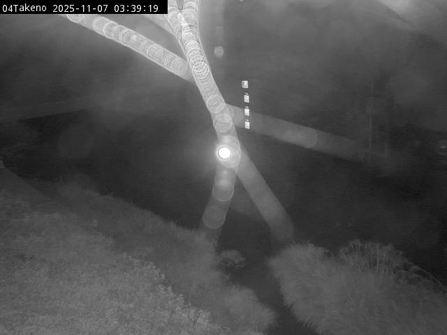 最新監視カメラ画像