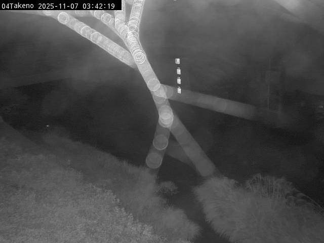 最新監視カメラ画像