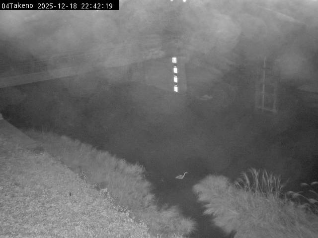 最新監視カメラ画像