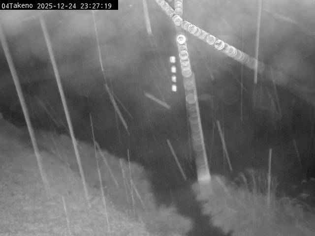 最新監視カメラ画像