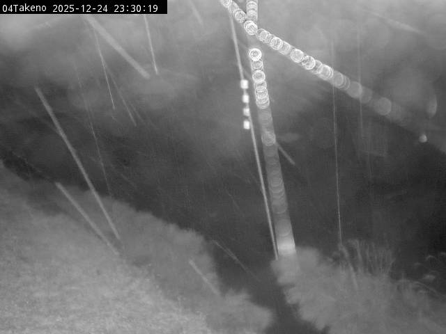 最新監視カメラ画像